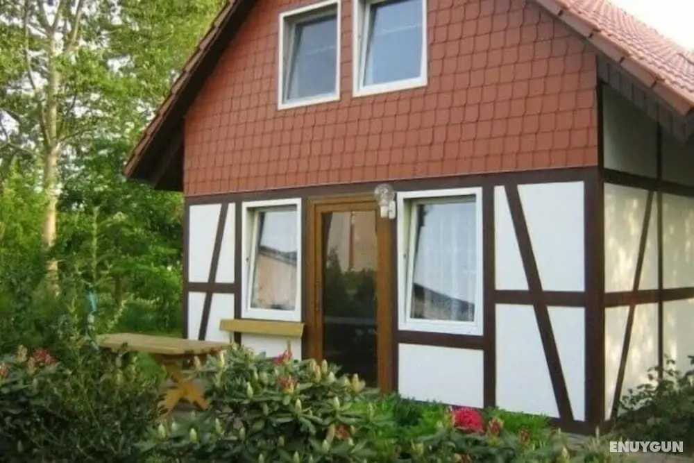 Restful Holiday Home in Rethwisch With Sauna and Whirlpool - Öne Çıkan Resim