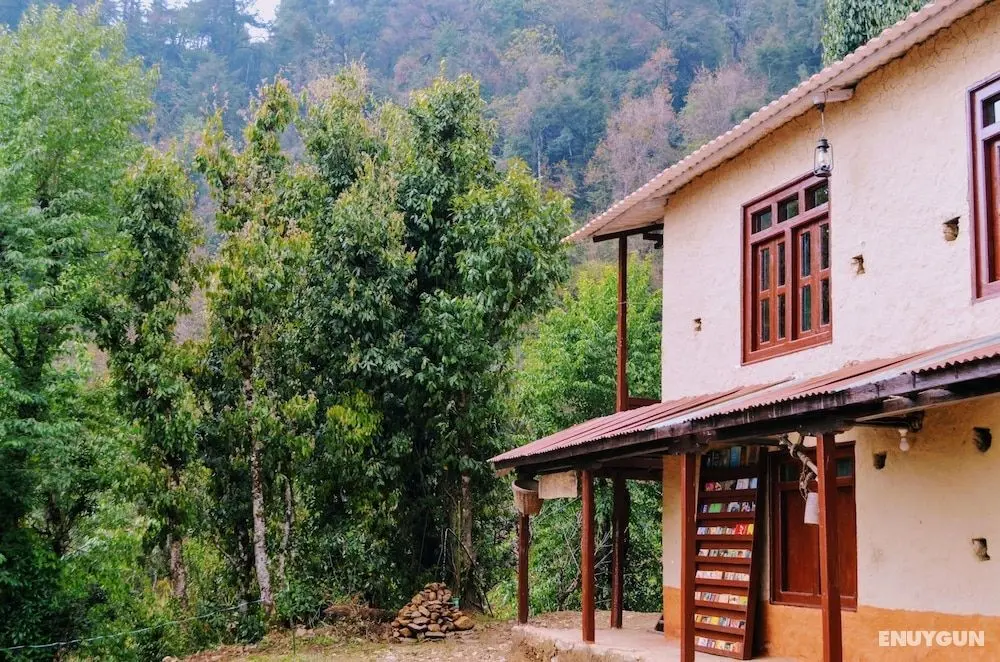 Retreat at Damaar - Dış Mekan