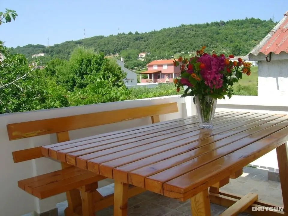 Rezikica - Green Oasis - A2 - Öne Çıkan Resim