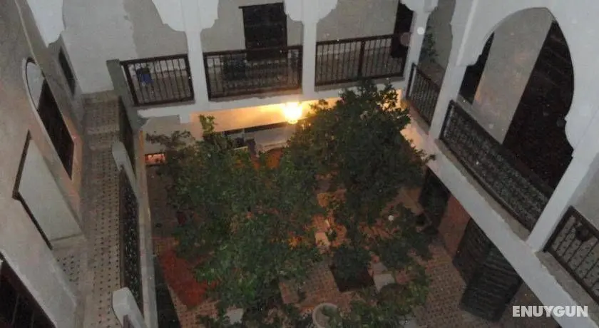 Riad Adraoui - Genel