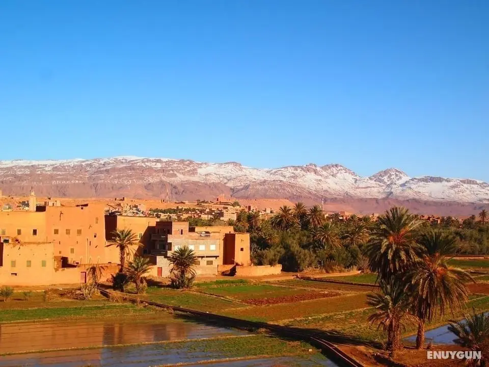 Riad Al Anwar - Dış Mekan