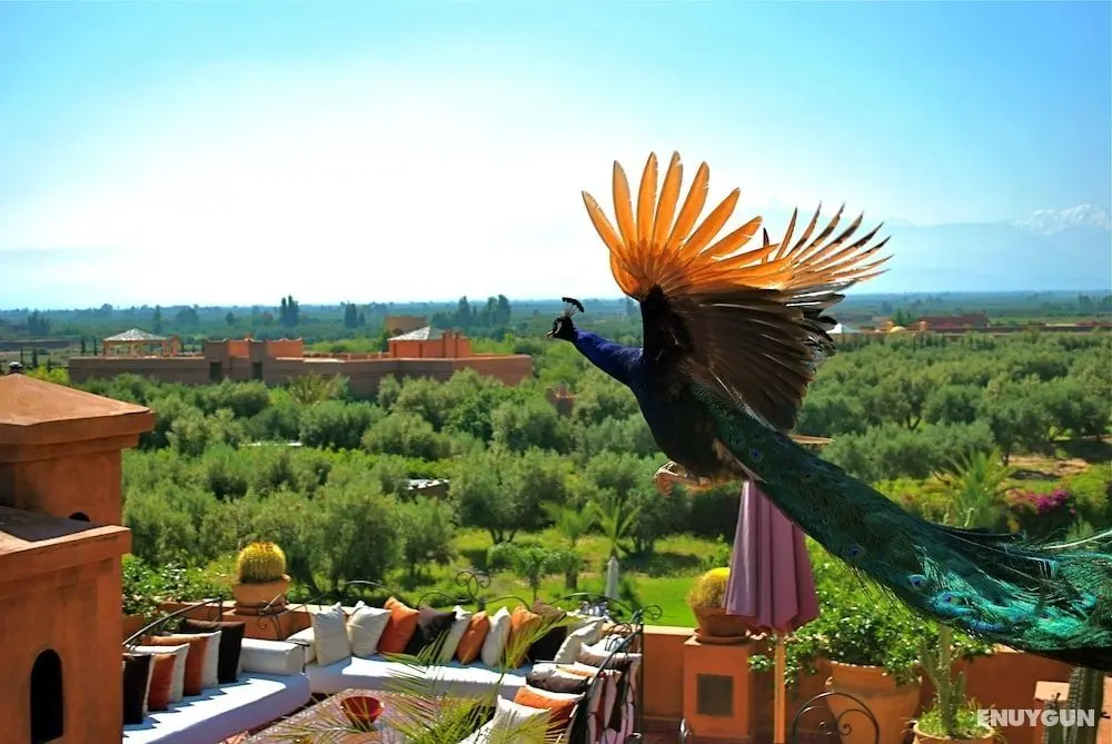 Riad Al Mendili Private Resort & Spa - Öne Çıkan Resim