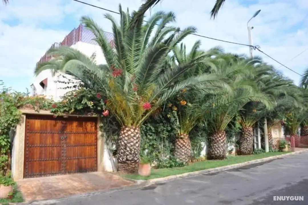 Riad Alhambra - Öne Çıkan Resim