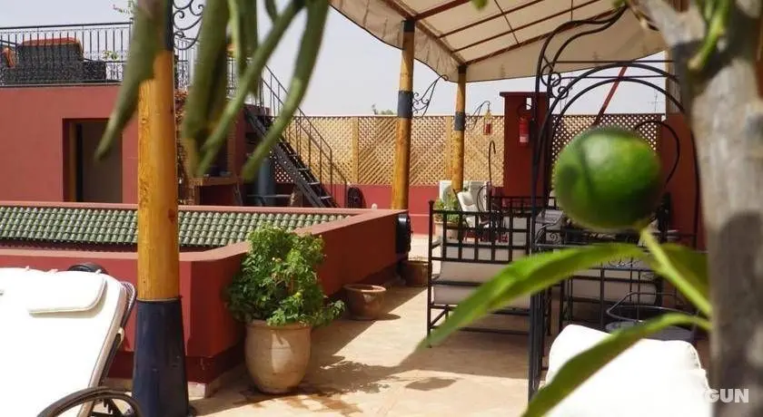 Riad Amya - Genel