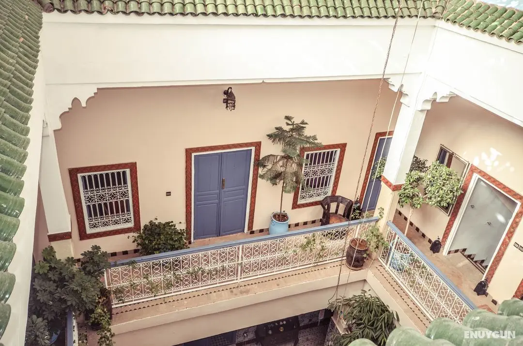 Riad Azalia - Genel