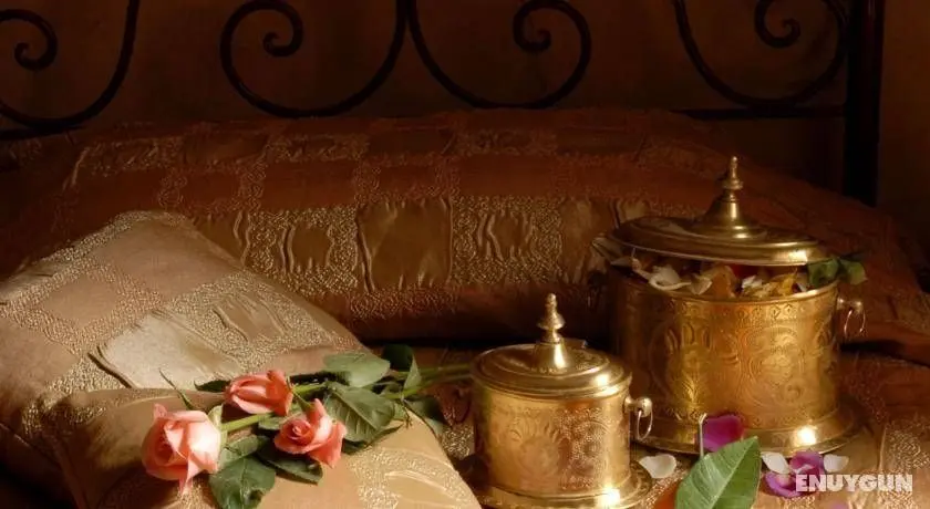 Riad Dama - Genel
