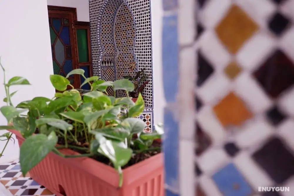 Riad Dar Fama - İç Mekan