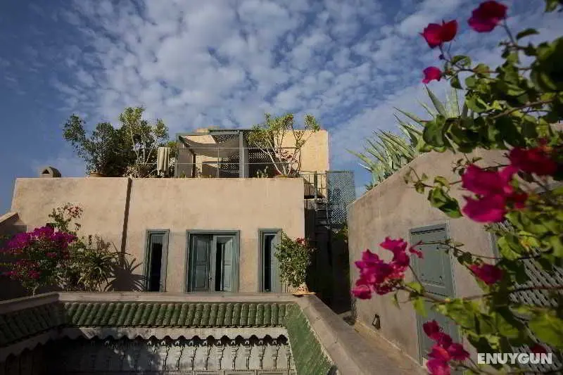 Riad Dar One - Genel