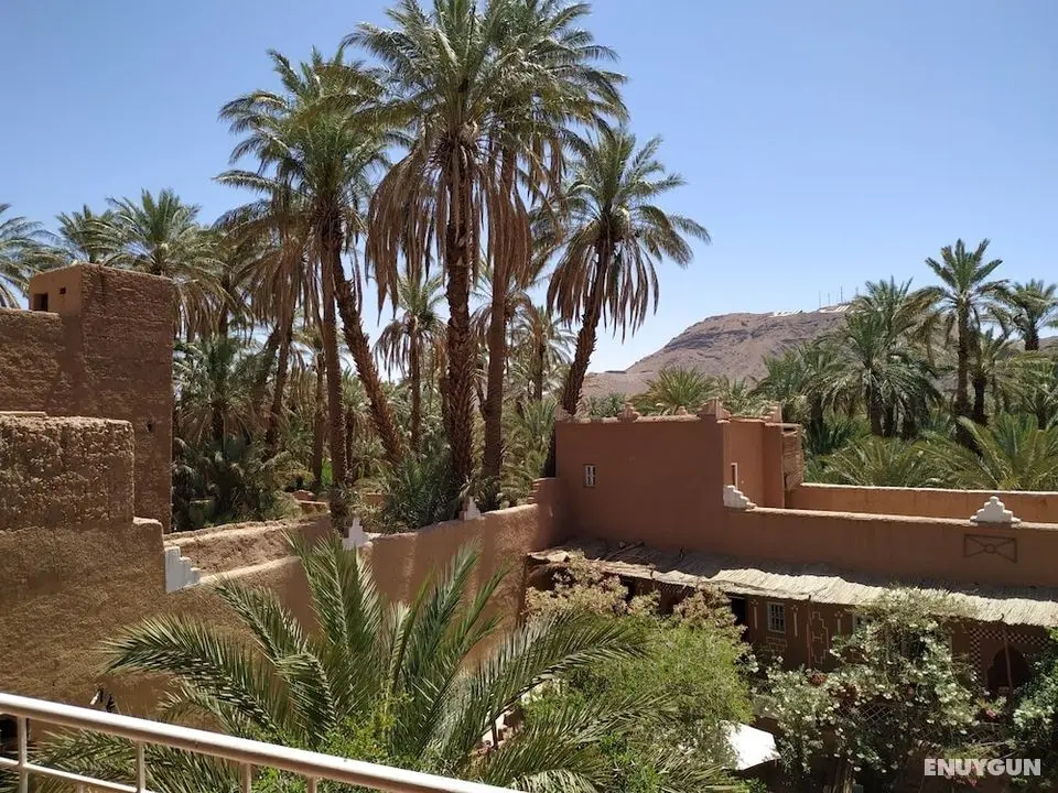 Riad Dar Zaouia - Dış Mekan