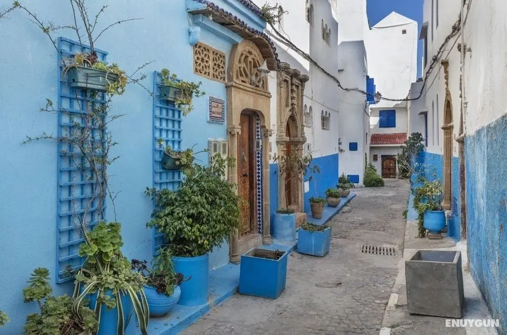 Riad El Idrissi - Öne Çıkan Resim