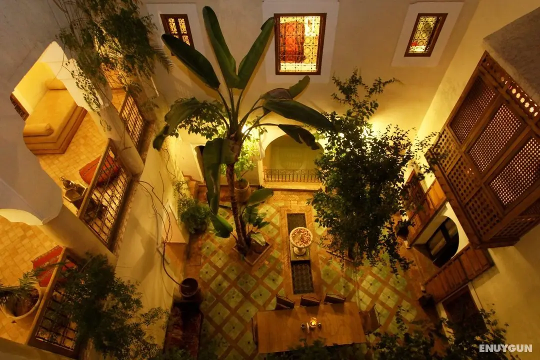 Riad El Youssoufi - Genel