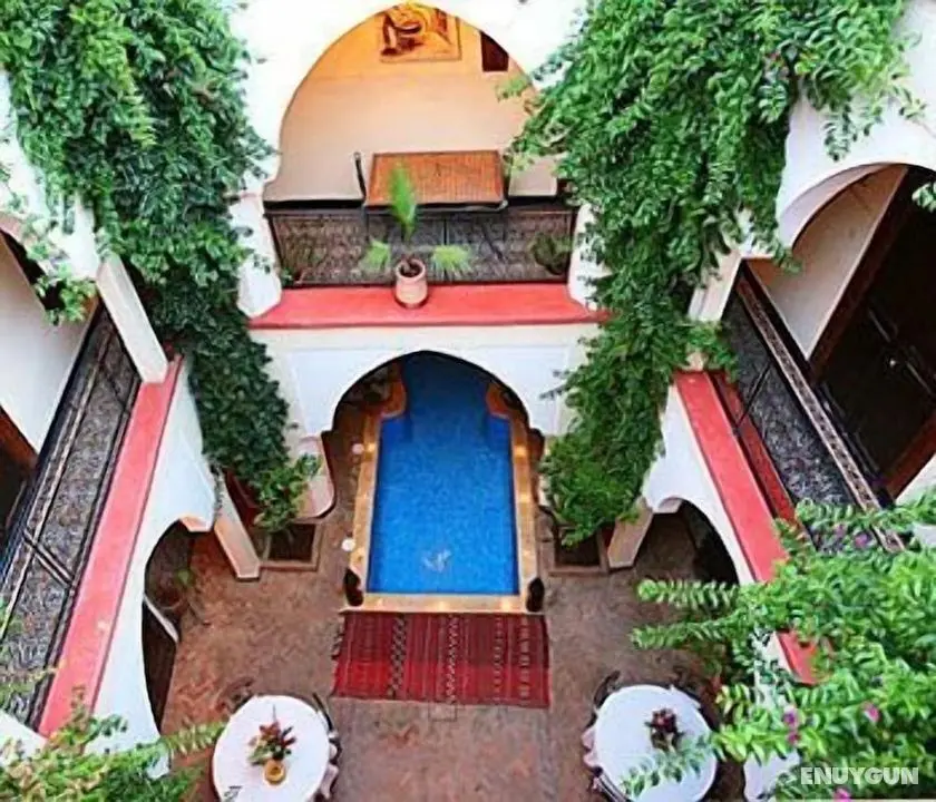 Riad Elsagaya - Dış Mekanlar
