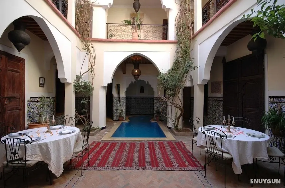 Riad Elsagaya - Öne Çıkan Resim