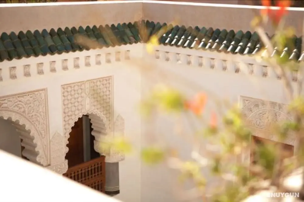 Riad Enija - İç Mekan