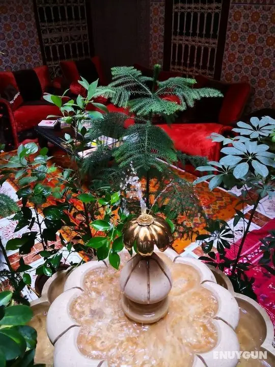 Riad Itry - Hostel - Öne Çıkan Resim