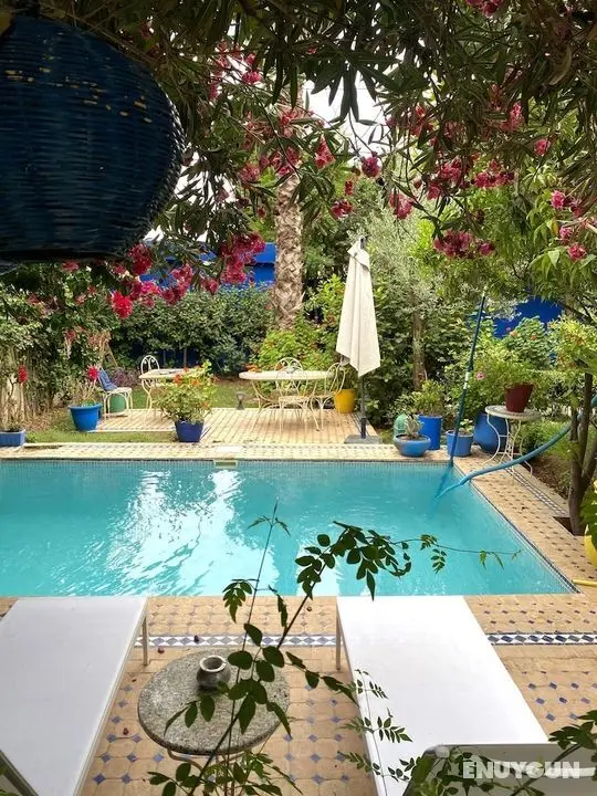 Riad Jean Claude - Öne Çıkan Resim