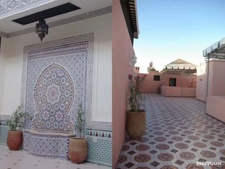 Riad Jibril - Öne Çıkan Resim