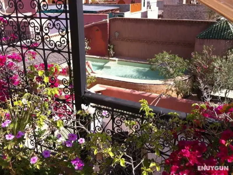 Riad Jona - Genel