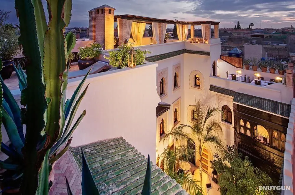 Riad Kheirredine - Genel