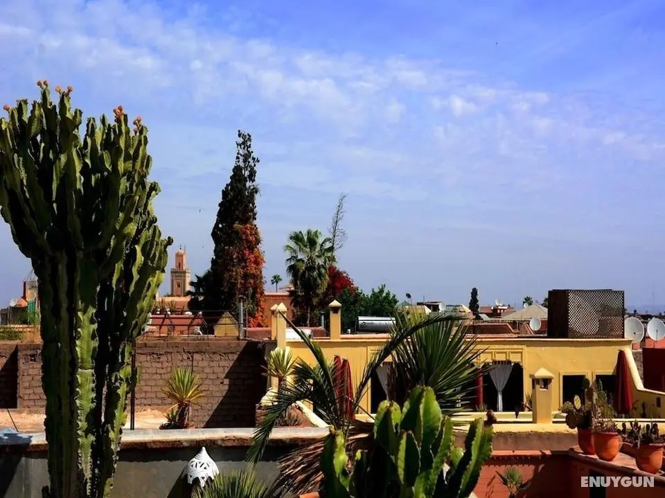 Riad La Calèche - Konum Öne Çıkanlar