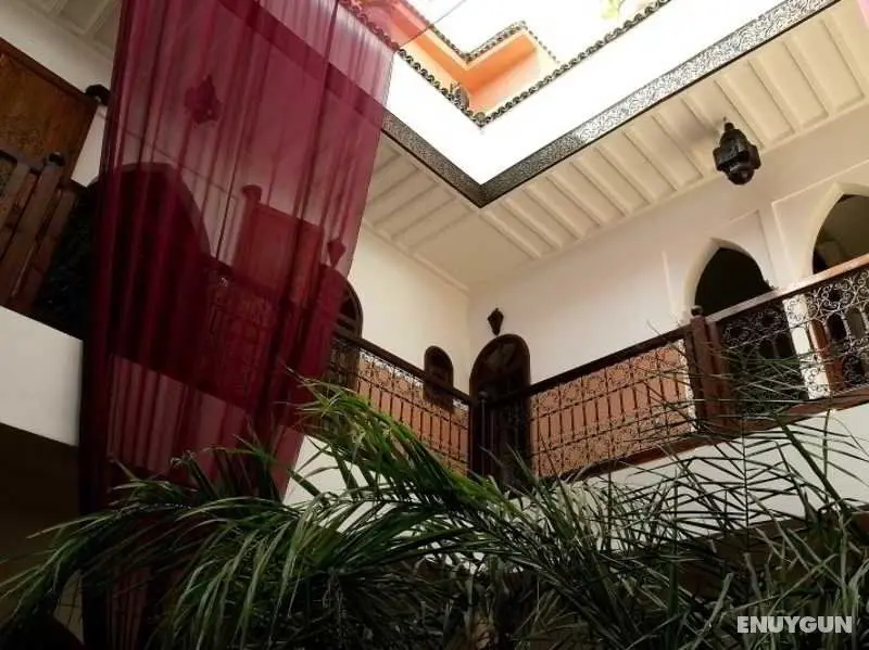 Riad Laora - Genel