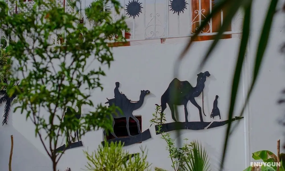 Riad L'Orchidée & SPA - Dış Mekan