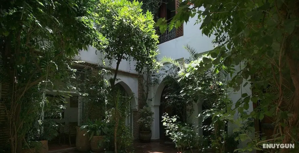 Riad Lyla Marrakech - Dış Mekanlar