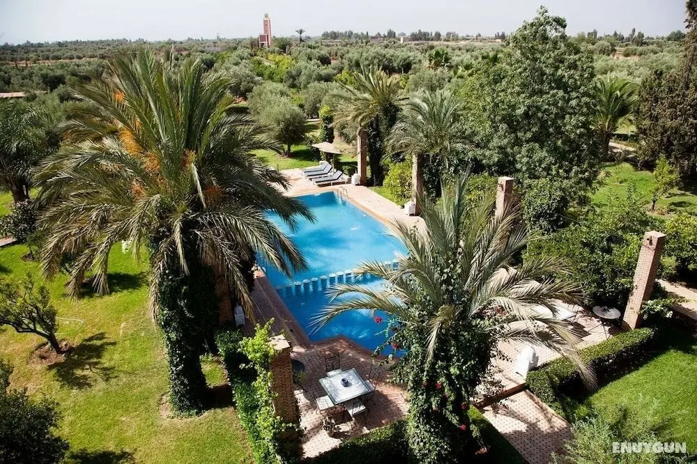 Riad Mayo - Öne Çıkan Resim