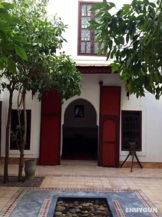 Riad Neela - Öne Çıkan Resim
