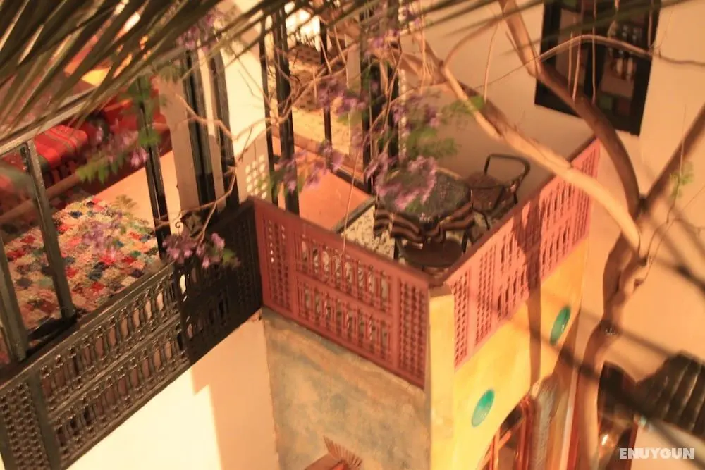 Riad O-ly - Dış Mekanlar