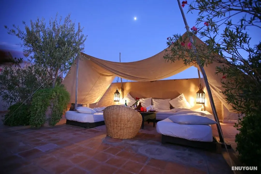Riad O2 - Genel