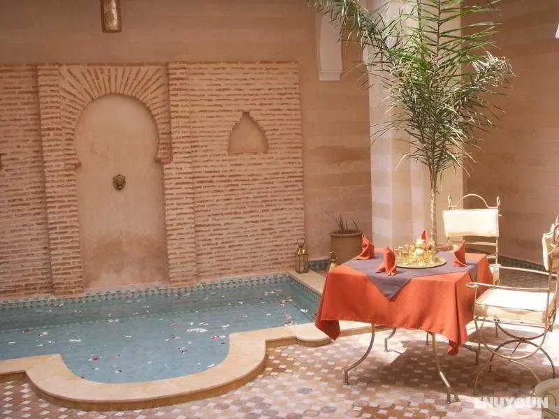 Riad Schanez - Genel