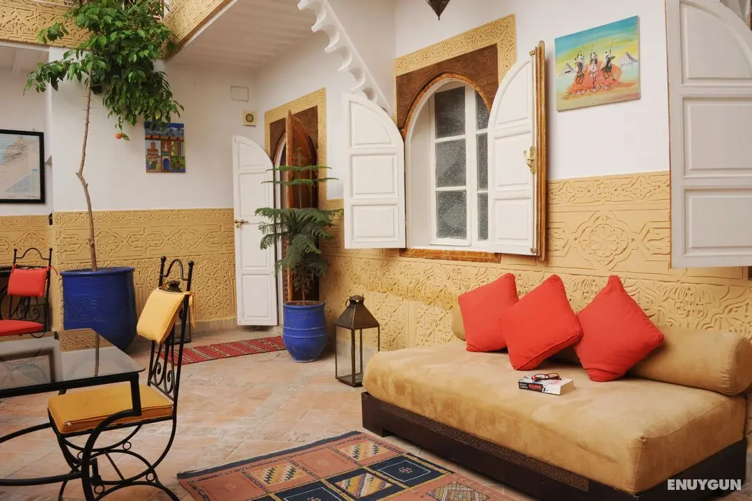 Riad Shaden - Genel