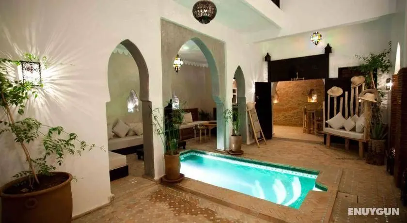 Riad Shambala - Genel