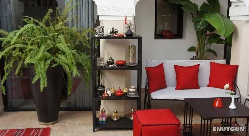 Riad Shanima & Spa - Genel