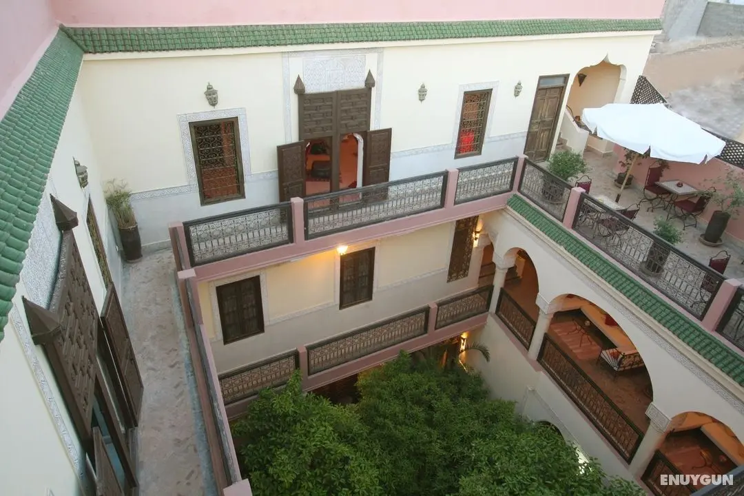 Riad Sidi Ayoub - Genel