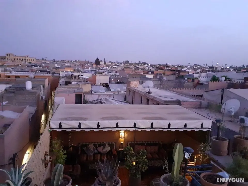 Riad Simon - Oda Düzeni