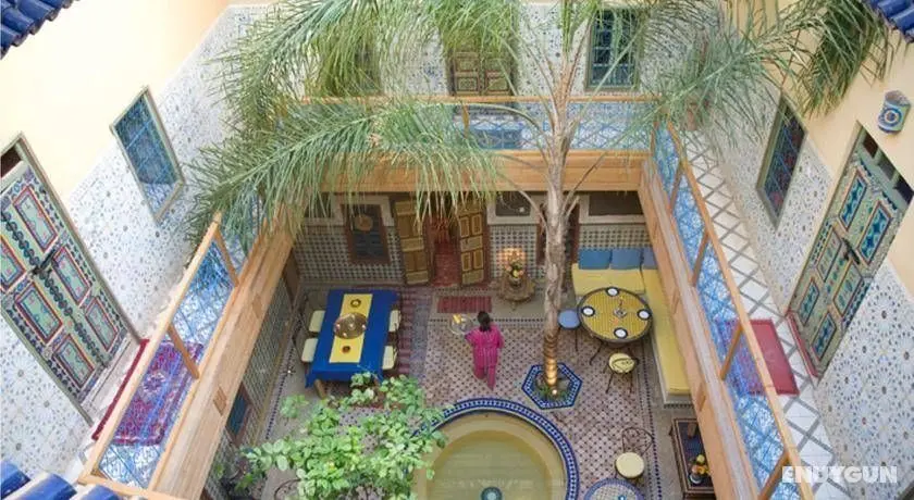 Riad Zara - Genel