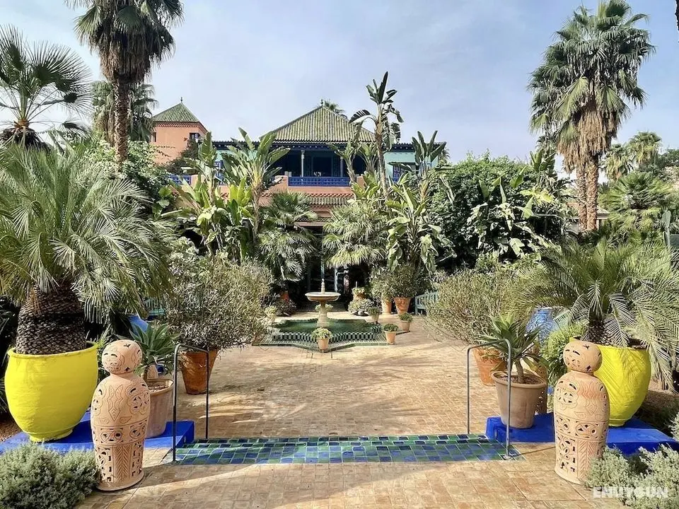 Riad Zouhour - İlgi Noktası