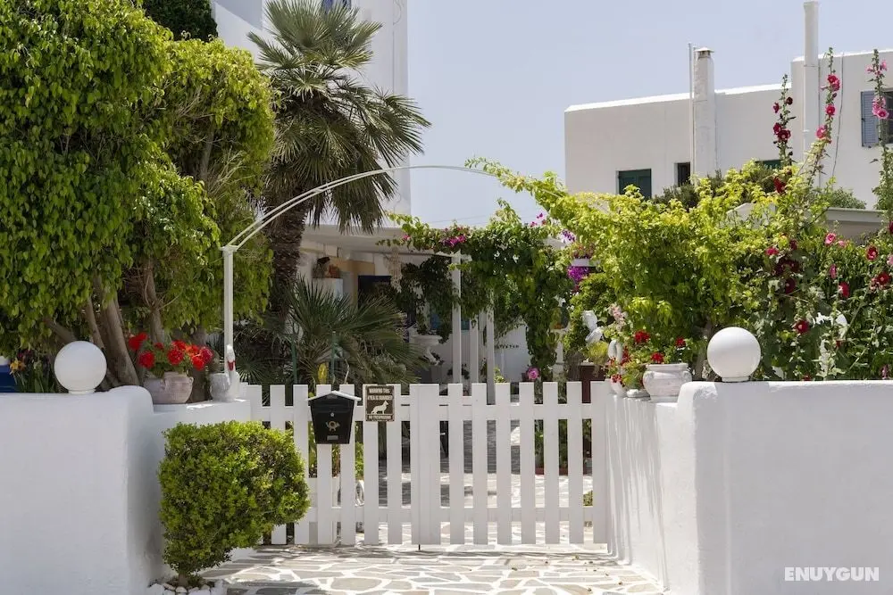 Ricos Two bedroom House - Naoussa Paros - Öne Çıkan Resim