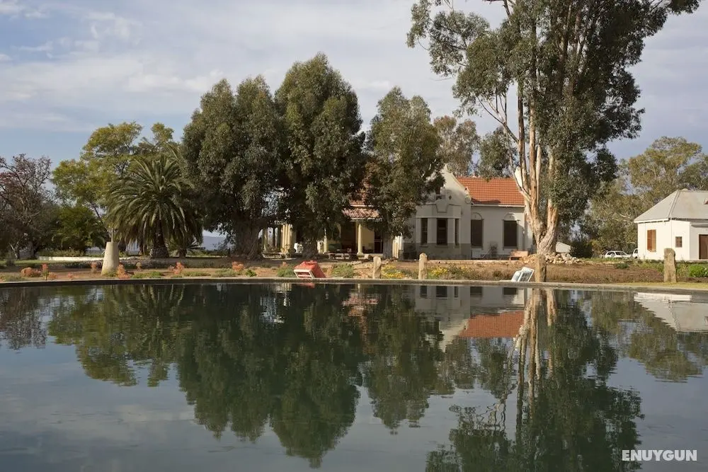 Rietfontein Ostrich Palace - Öne Çıkan Resim