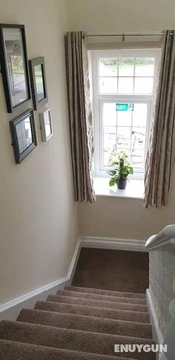 The Ring Pub Bed and Breakfast - Lobi