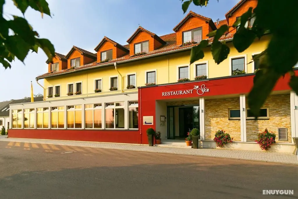 Ringhotel Zum Stein - Genel
