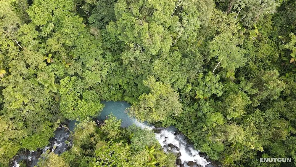 Rio Celeste Nature View - Öne Çıkan Resim
