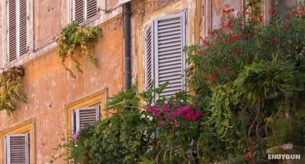 Ripetta Little House - Dış Mekan