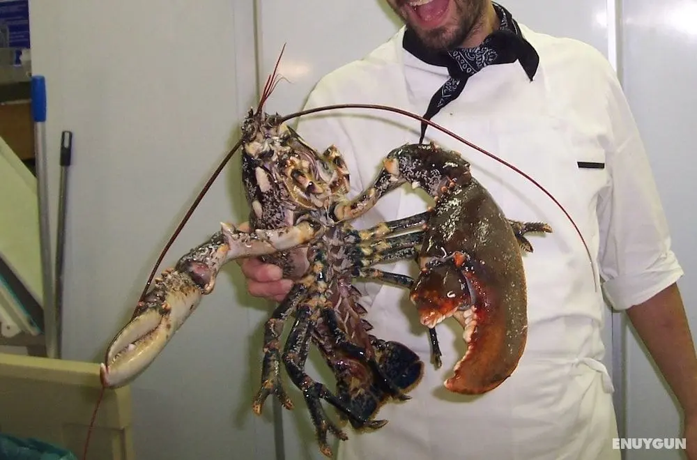 Hotel Ristorante ai Campi Di Marcello - Öne Çıkan Resim