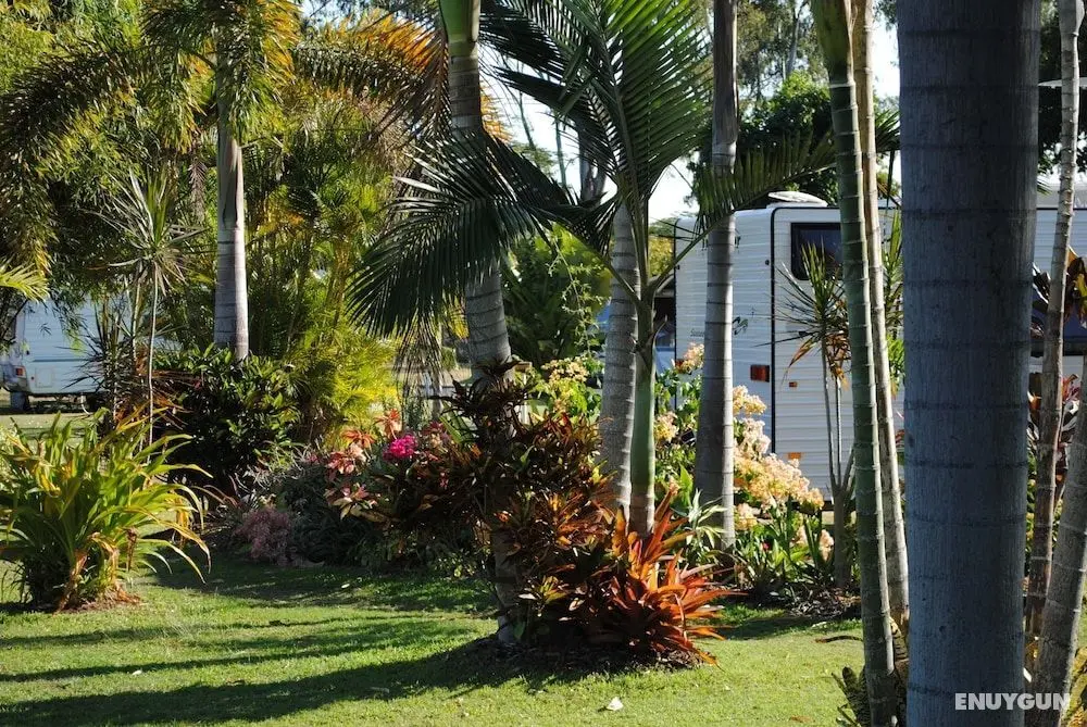 Riverside Tourist Park - Öne Çıkan Resim