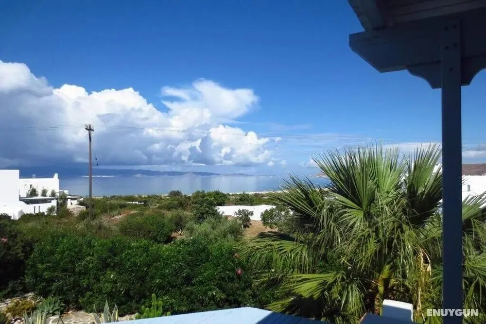 Riviera paradise villa with private pool - Dış Mekan