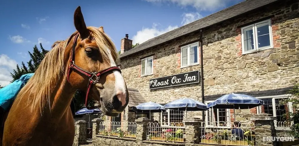 Roast Ox Inn - Öne Çıkan Resim