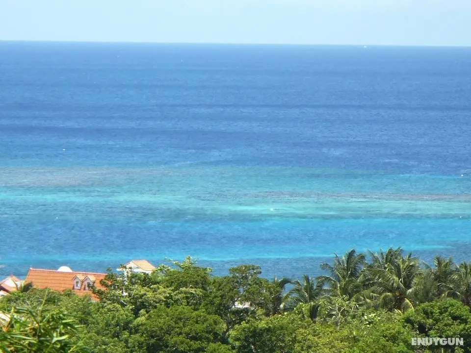 Roatan Bed & Breakfast Apartments - Dış Mekan